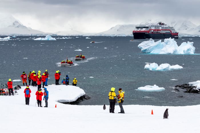 Hurtigruten - Land Excursions - Arctic Fox - Nature - Photography - Excursions.JPG